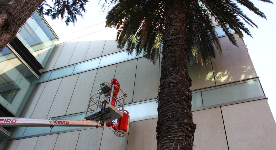 hyCleaner Facade Brush im Einsatz